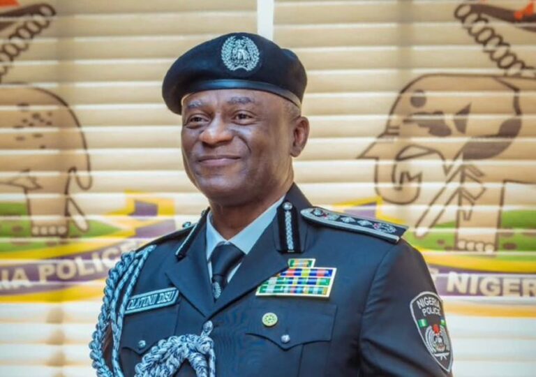 Beyond Ethnicity: What Nigeria Should Expect from the Inspector-General of Police